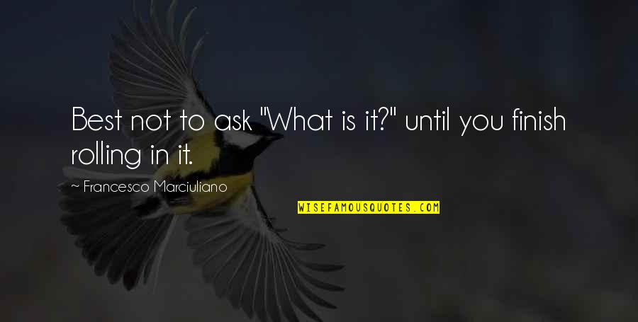 You Finish It Quotes By Francesco Marciuliano: Best not to ask "What is it?" until You Finish It Quotes By Francesco Marciuliano: Best not to ask "What is it?" until