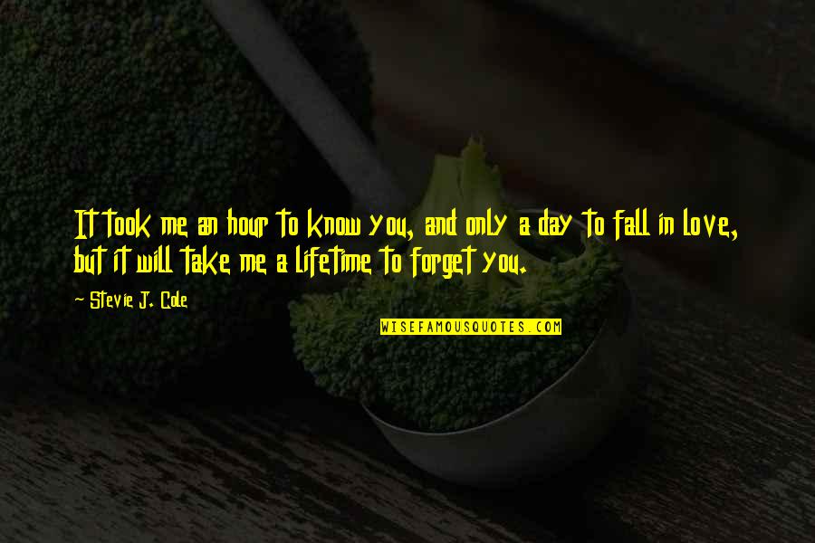 You Forget Me Love Quotes By Stevie J. Cole: It took me an hour to know you,