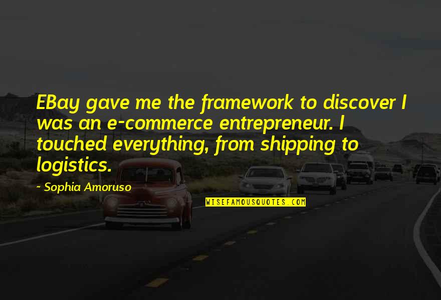 You Gave Me Everything Quotes By Sophia Amoruso: EBay gave me the framework to discover I