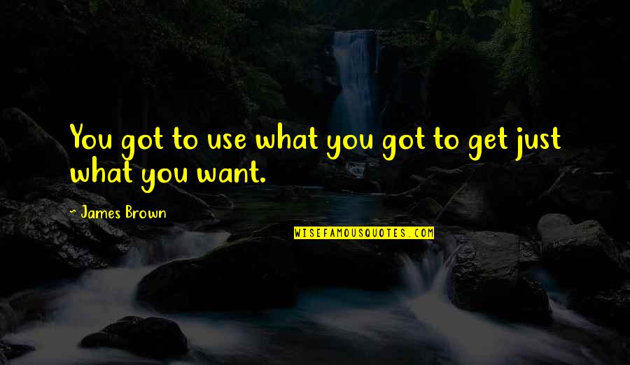 You Get What You Got Quotes By James Brown: You got to use what you got to