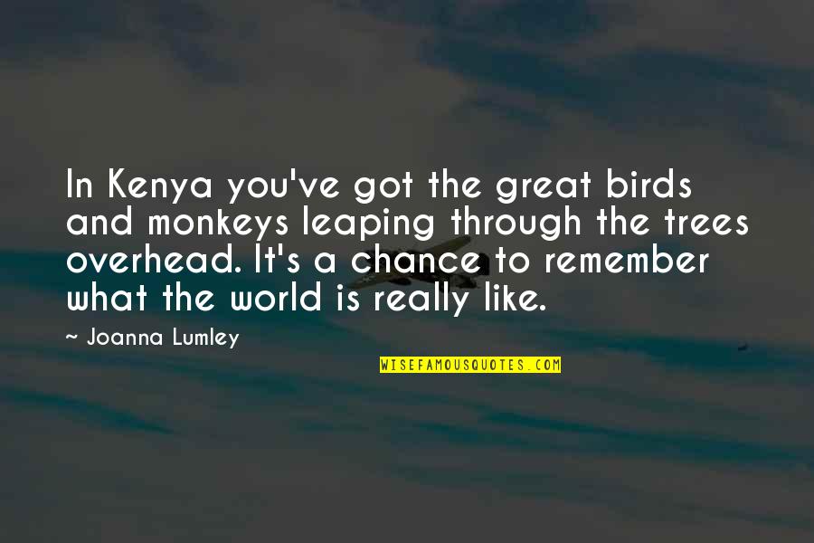 You Got It Quotes By Joanna Lumley: In Kenya you've got the great birds and You Got It Quotes By Joanna Lumley: In Kenya you've got the great birds and