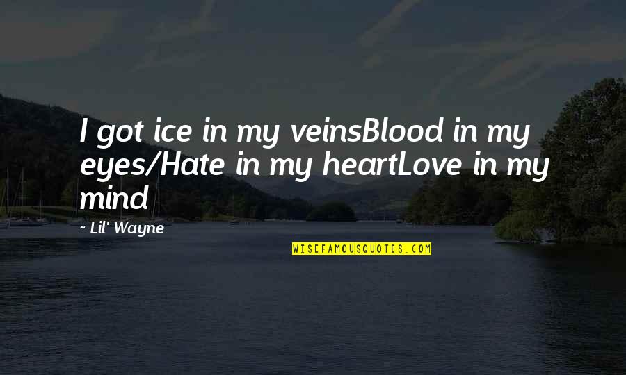 You Got My Heart Quotes By Lil' Wayne: I got ice in my veinsBlood in my