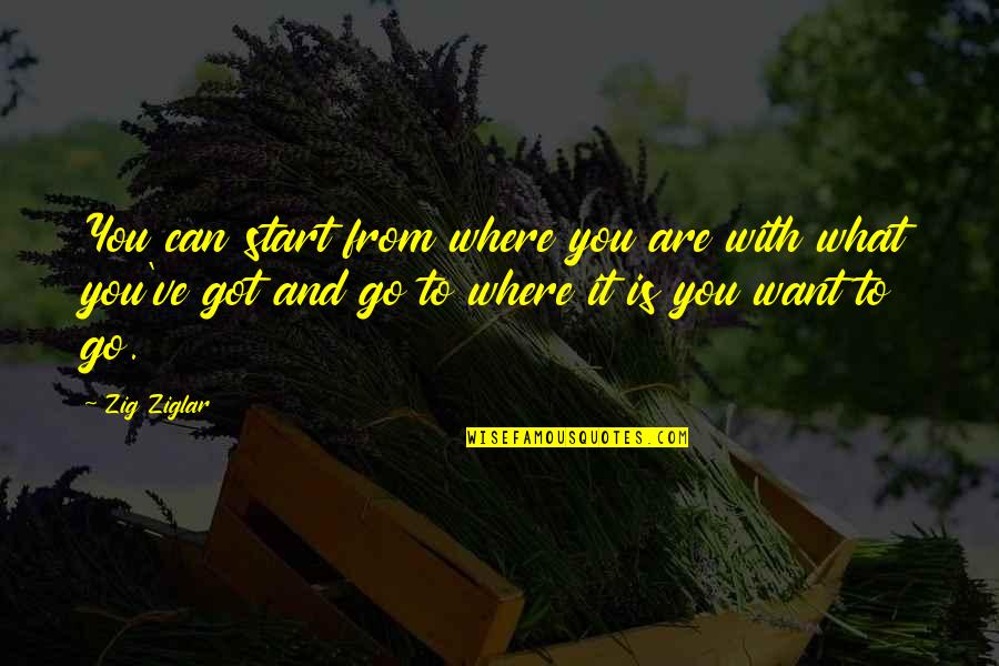 You Got To Want It Quotes By Zig Ziglar: You can start from where you are with