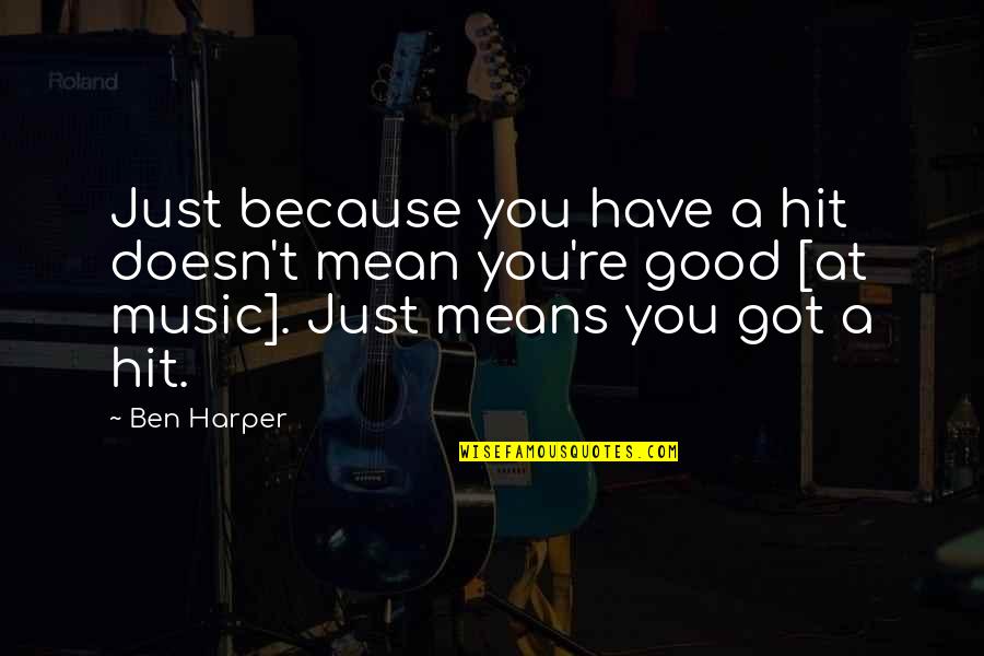 You Got You Quotes By Ben Harper: Just because you have a hit doesn't mean