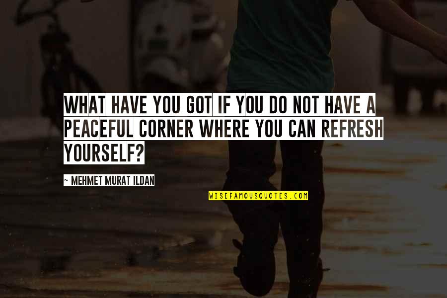 You Got Yourself Quotes By Mehmet Murat Ildan: What have you got if you do not