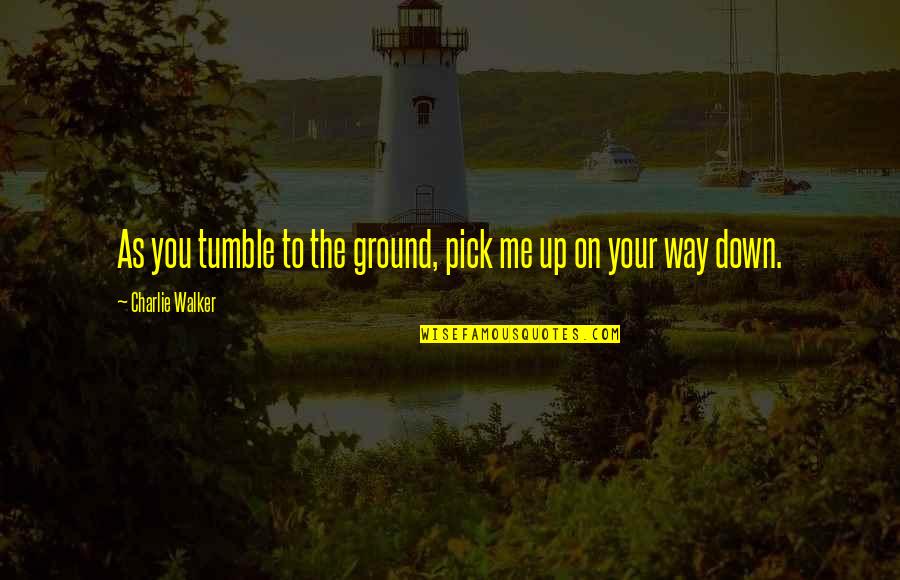 You Ground Me Quotes By Charlie Walker: As you tumble to the ground, pick me