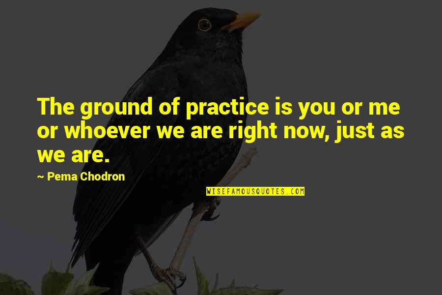 You Ground Me Quotes By Pema Chodron: The ground of practice is you or me