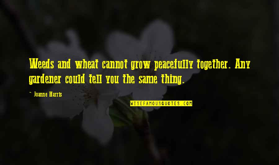 You Grow Together Quotes By Joanne Harris: Weeds and wheat cannot grow peacefully together. Any You Grow Together Quotes By Joanne Harris: Weeds and wheat cannot grow peacefully together. Any
