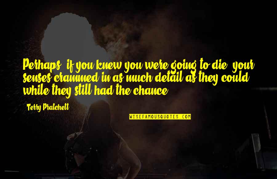 You Had Chance Quotes By Terry Pratchett: Perhaps, if you knew you were going to