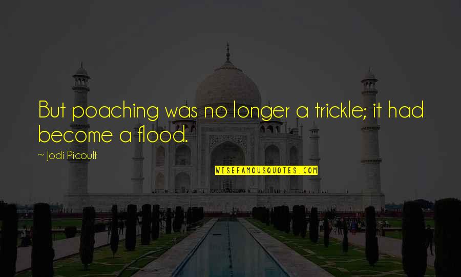 You Had Me And Lost Me Quotes By Jodi Picoult: But poaching was no longer a trickle; it