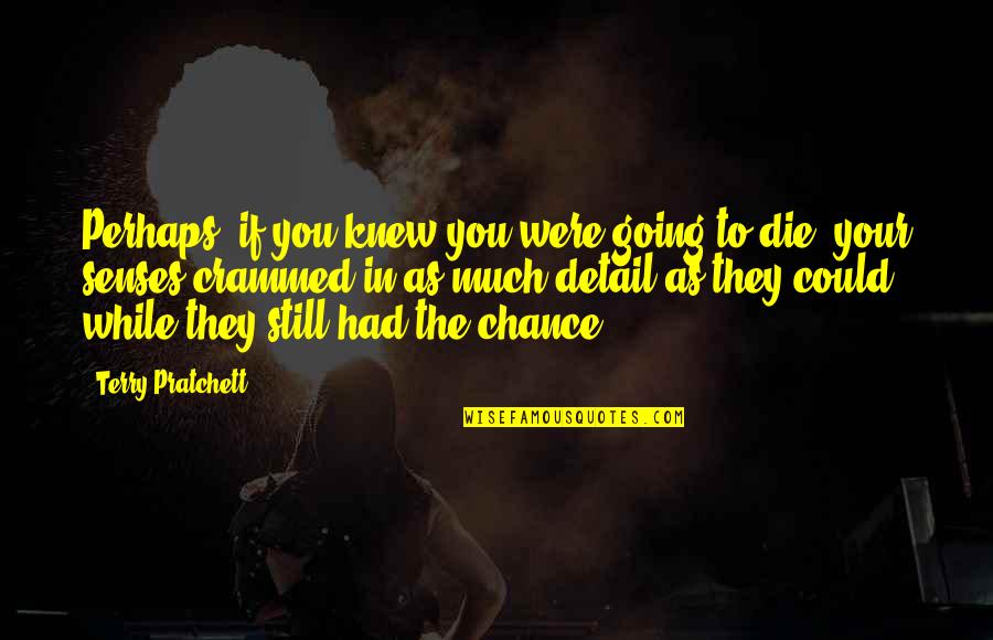 You Had Your Chance Quotes By Terry Pratchett: Perhaps, if you knew you were going to