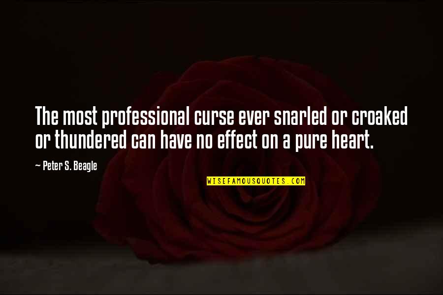 You Have A Pure Heart Quotes By Peter S. Beagle: The most professional curse ever snarled or croaked