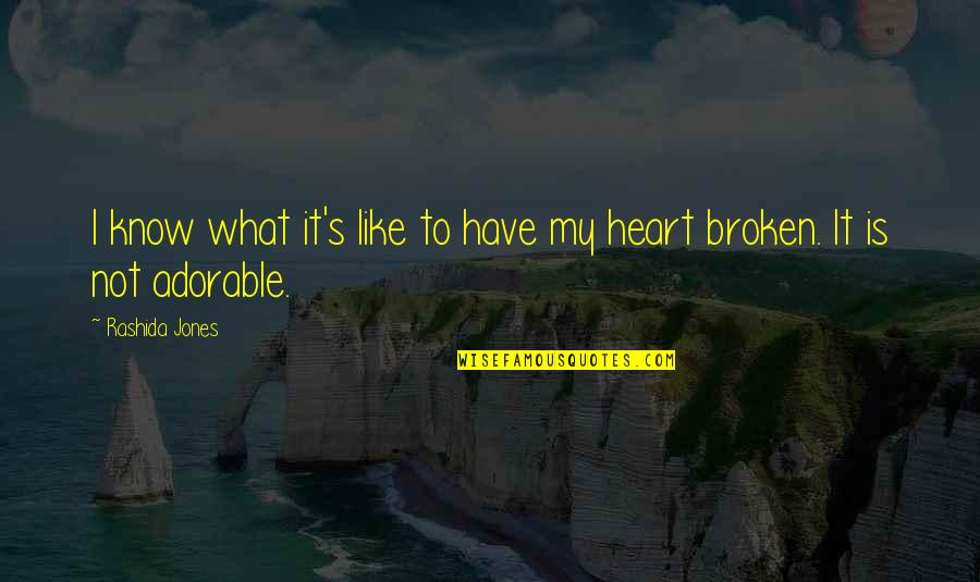 You Have Broken My Heart Quotes By Rashida Jones: I know what it's like to have my