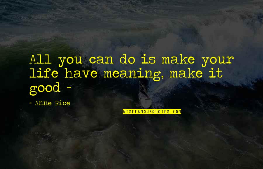 You Have Meaning Quotes By Anne Rice: All you can do is make your life
