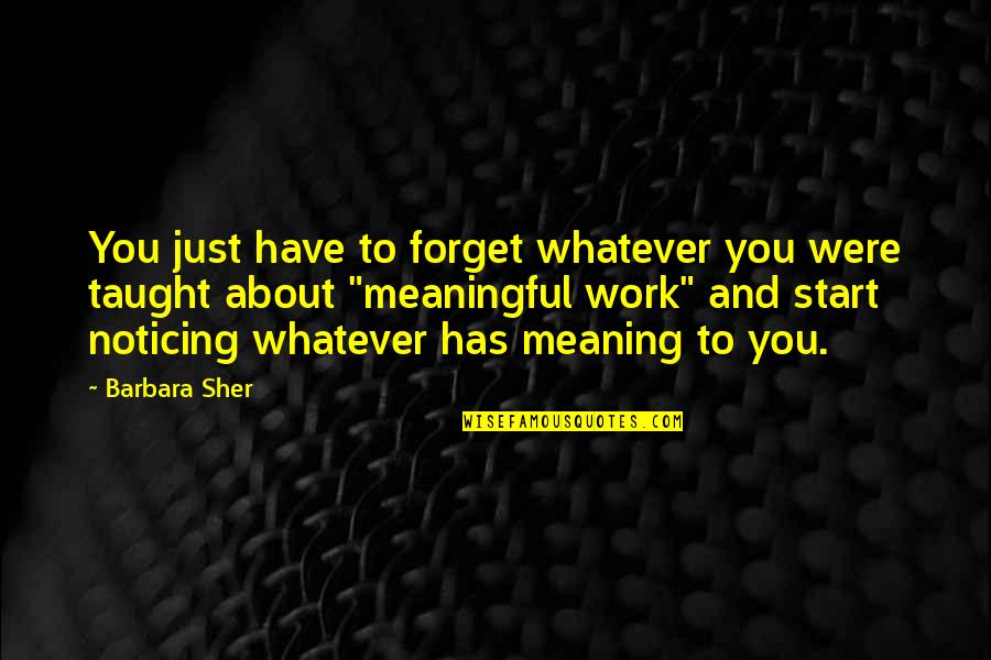 You Have Meaning Quotes By Barbara Sher: You just have to forget whatever you were