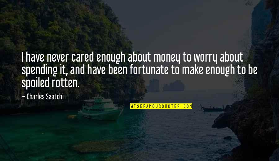 You Have Never Cared Quotes By Charles Saatchi: I have never cared enough about money to