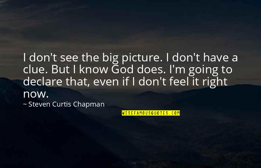 You Have No Clue Quotes By Steven Curtis Chapman: I don't see the big picture. I don't