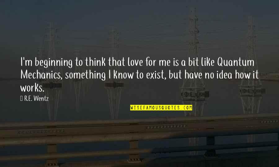 You Have No Idea Love Quotes By R.E. Wentz: I'm beginning to think that love for me