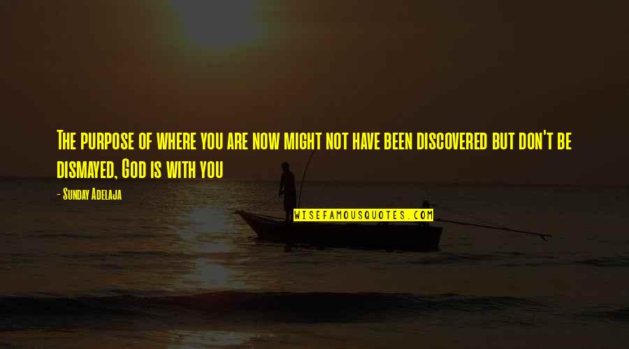 You Have Purpose Quotes By Sunday Adelaja: The purpose of where you are now might