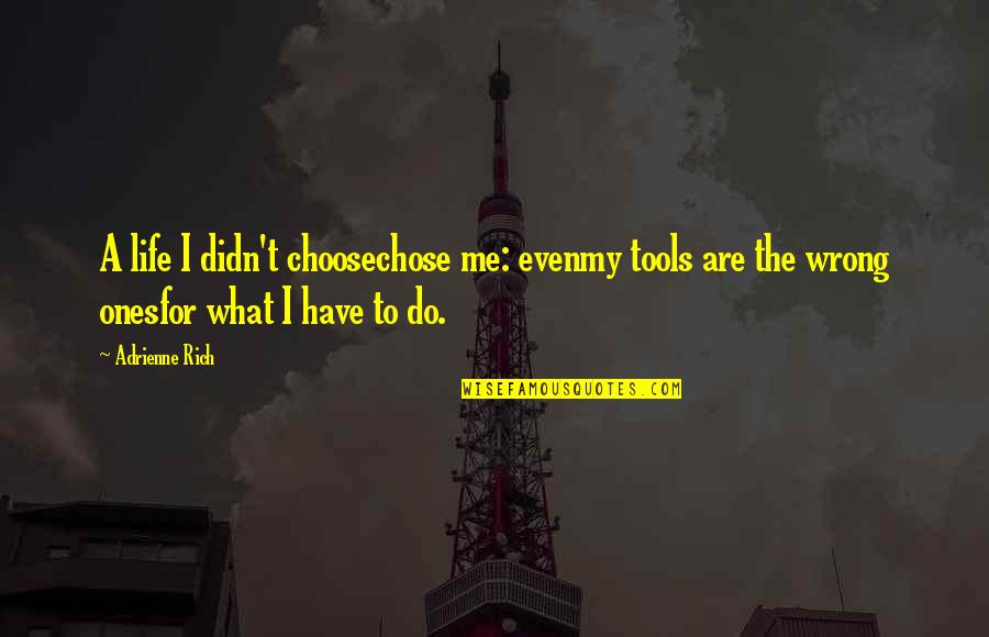 You Have The Tools Quotes By Adrienne Rich: A life I didn't choosechose me: evenmy tools You Have The Tools Quotes By Adrienne Rich: A life I didn't choosechose me: evenmy tools