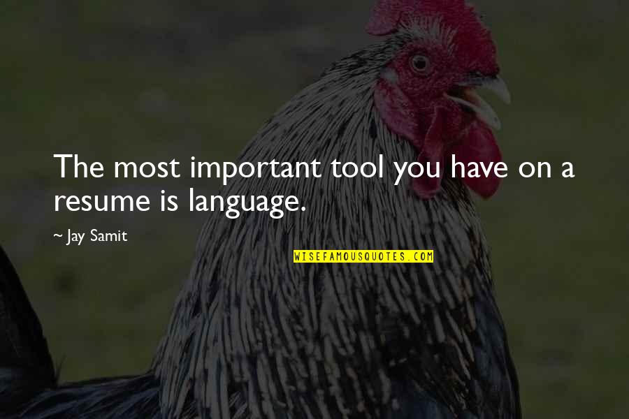 You Have The Tools Quotes By Jay Samit: The most important tool you have on a