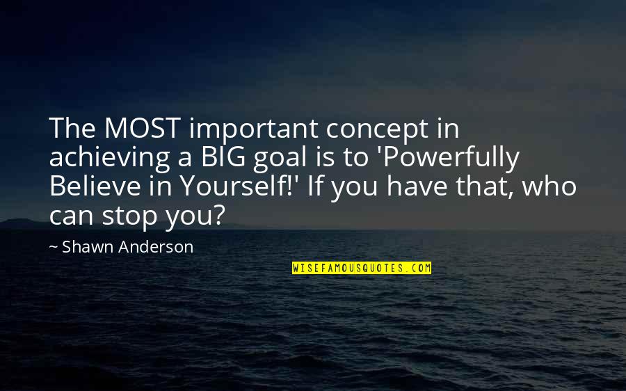 You Have To Believe In Yourself Quotes By Shawn Anderson: The MOST important concept in achieving a BIG