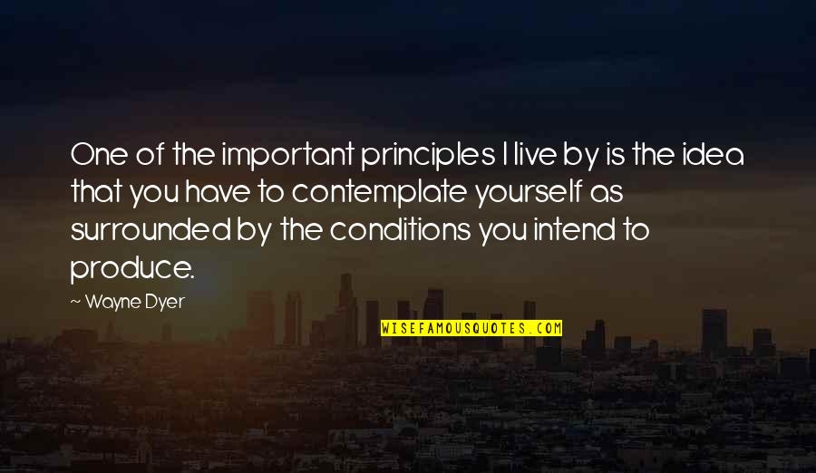 You Have To Live For Yourself Quotes By Wayne Dyer: One of the important principles I live by