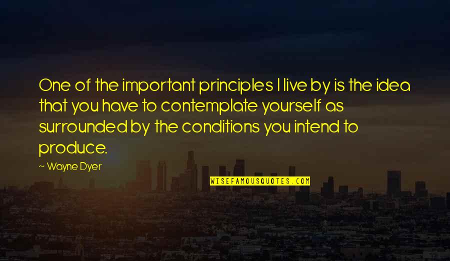 You Have To Live With Yourself Quotes By Wayne Dyer: One of the important principles I live by You Have To Live With Yourself Quotes By Wayne Dyer: One of the important principles I live by