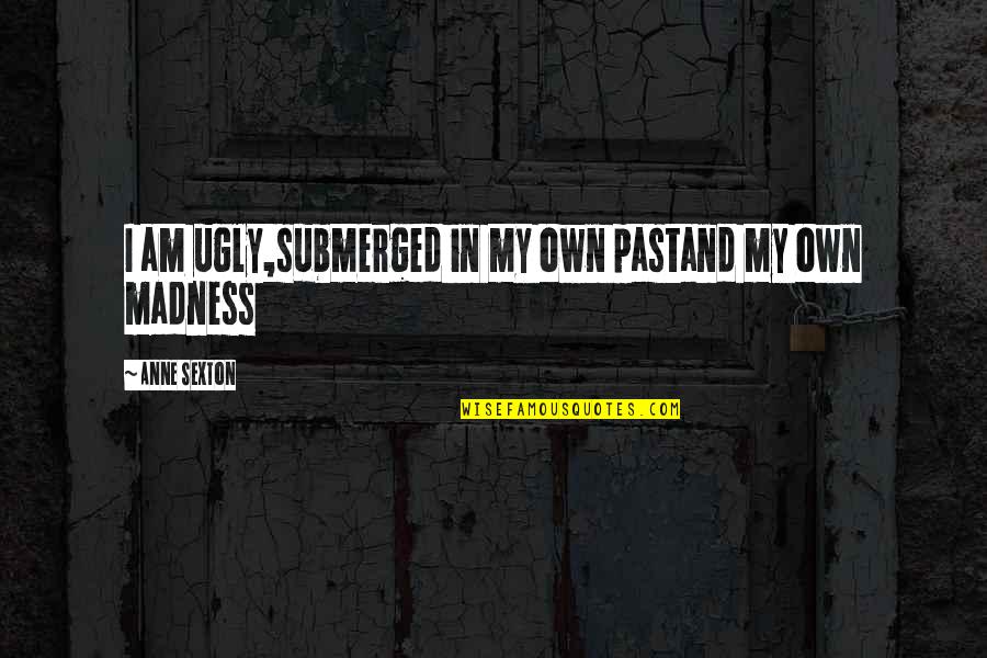 You Have To Lose Sight Of The Shore Quotes By Anne Sexton: I am ugly,submerged in my own pastand my