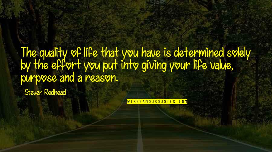 You Have Value Quotes By Steven Redhead: The quality of life that you have is