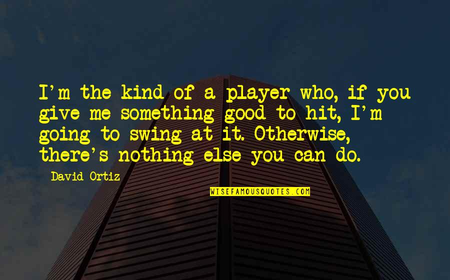 You Hit Me Quotes By David Ortiz: I'm the kind of a player who, if You Hit Me Quotes By David Ortiz: I'm the kind of a player who, if