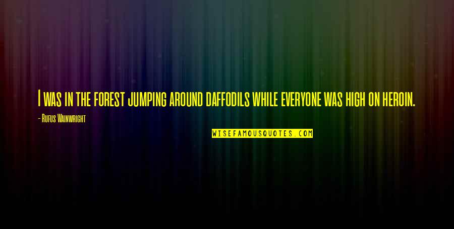 You Hurt Me So Deep Quotes By Rufus Wainwright: I was in the forest jumping around daffodils