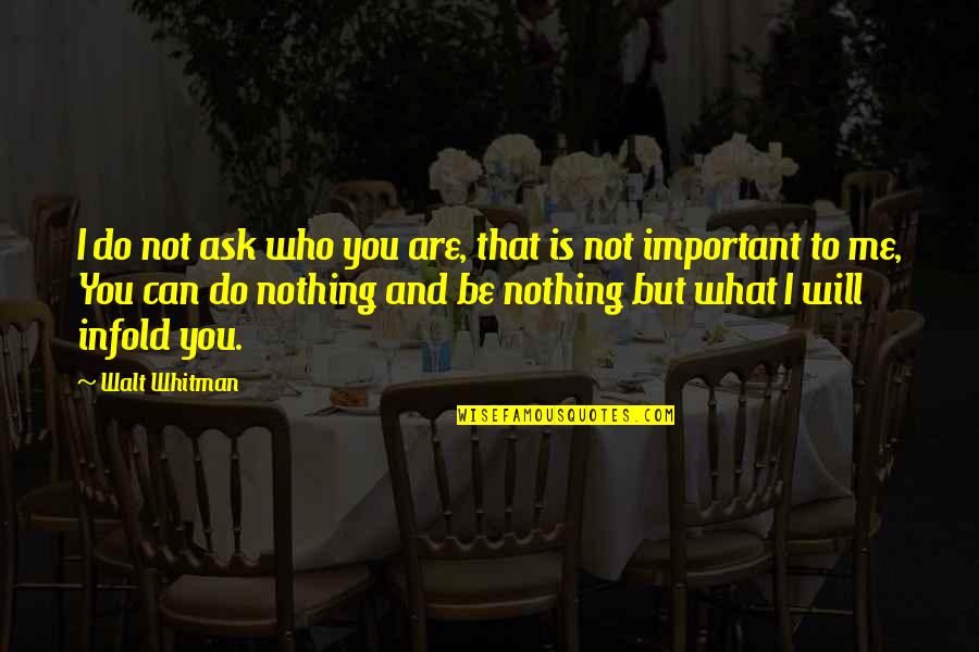 You Important To Me Quotes By Walt Whitman: I do not ask who you are, that