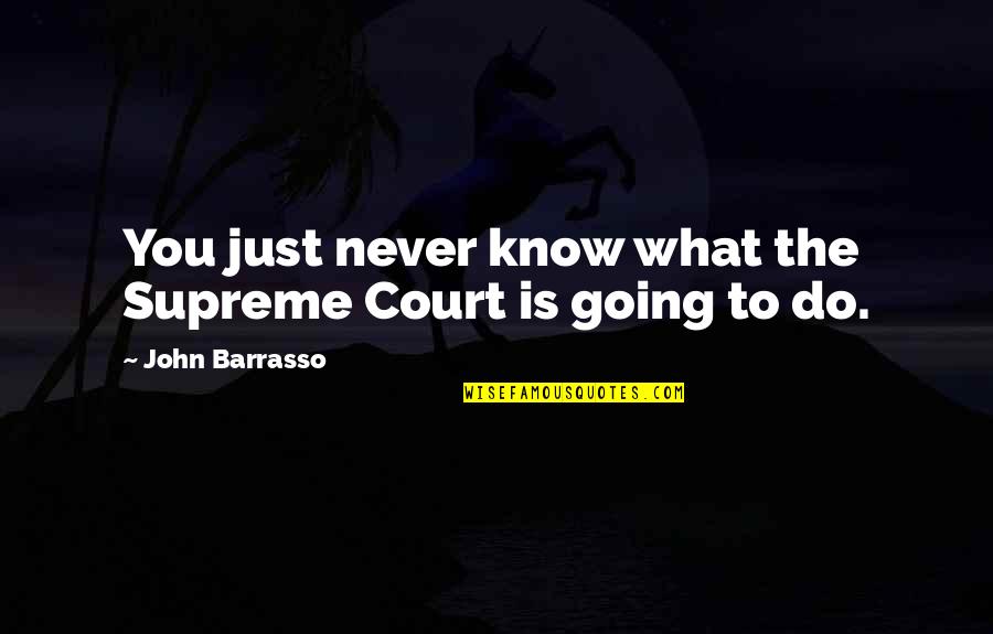 You Just Never Know Quotes By John Barrasso: You just never know what the Supreme Court