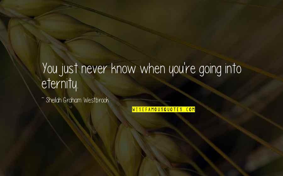 You Just Never Know Quotes By Sheilah Graham Westbrook: You just never know when you're going into