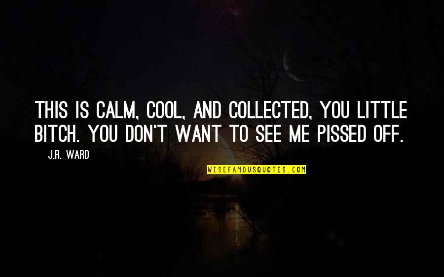 You Just Pissed Me Off Quotes By J.R. Ward: This is calm, cool, and collected, you little