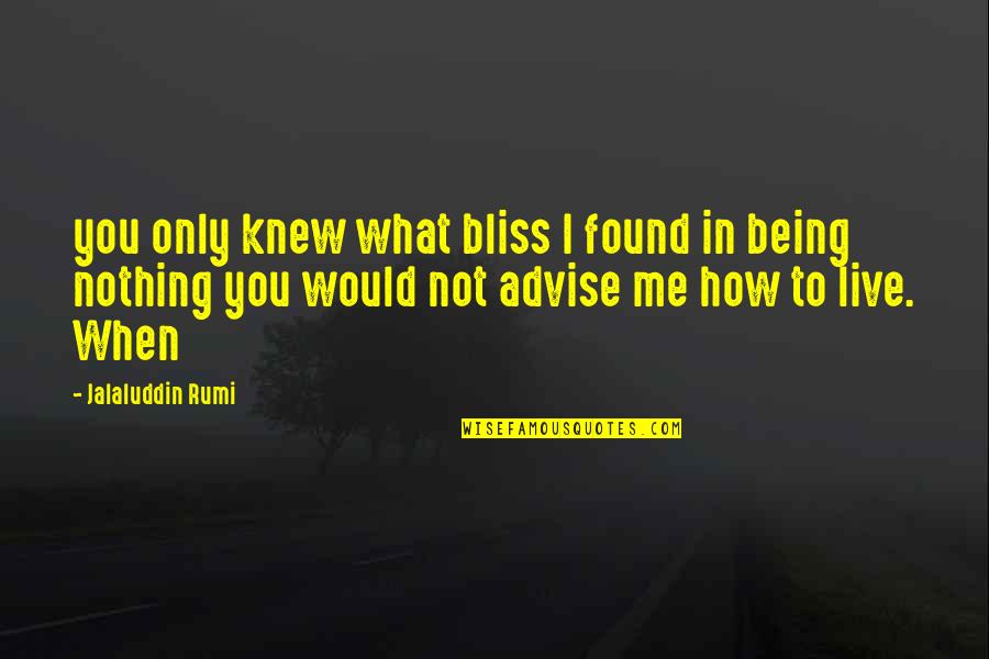 You Knew Me When Quotes By Jalaluddin Rumi: you only knew what bliss I found in