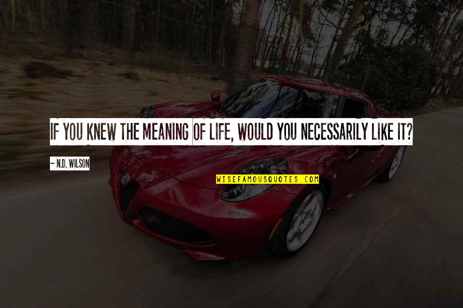 You Knew Quotes By N.D. Wilson: If you knew the meaning of life, would
