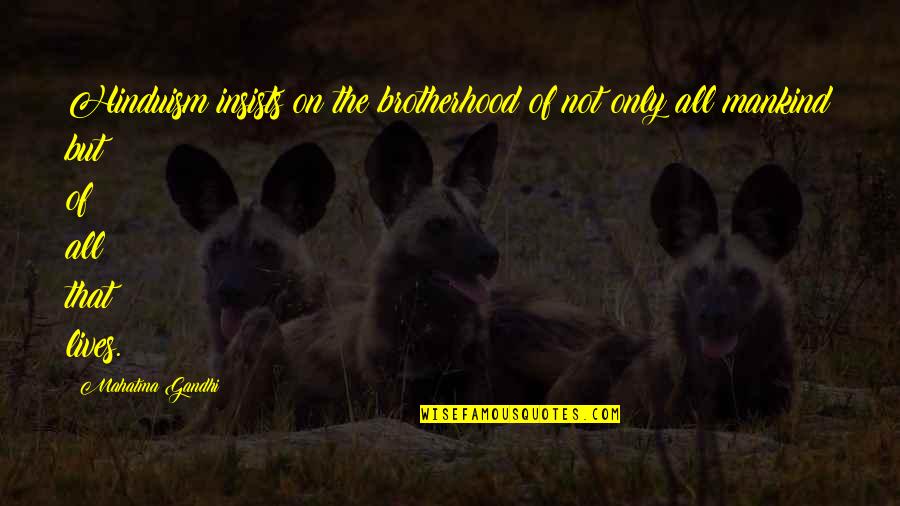 You Know Nothing About My Life Quotes By Mahatma Gandhi: Hinduism insists on the brotherhood of not only