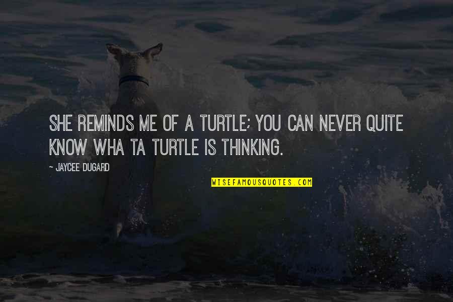 You Know Of Me Quotes By Jaycee Dugard: She reminds me of a turtle; you can