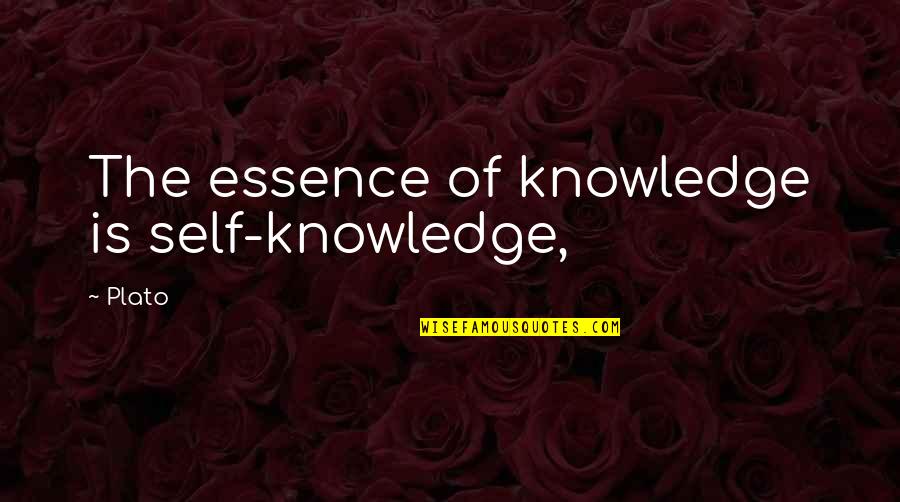 You Know She's Real Quotes By Plato: The essence of knowledge is self-knowledge,