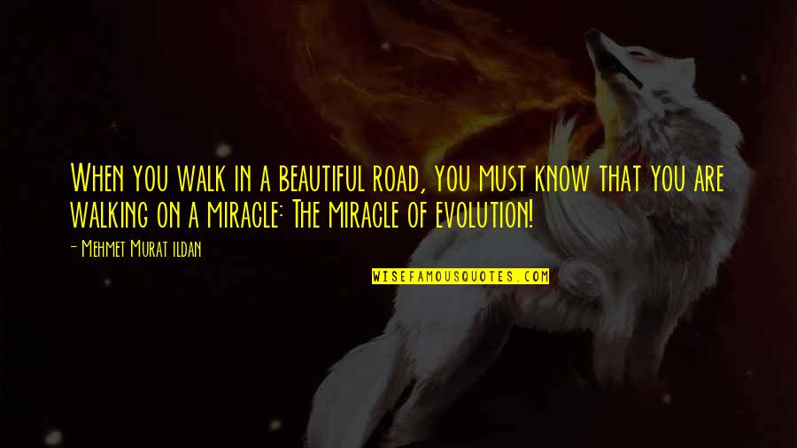 You Know You Are Beautiful Quotes By Mehmet Murat Ildan: When you walk in a beautiful road, you