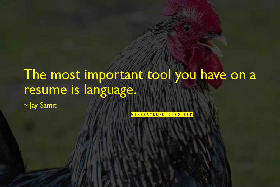You Language Quotes By Jay Samit: The most important tool you have on a