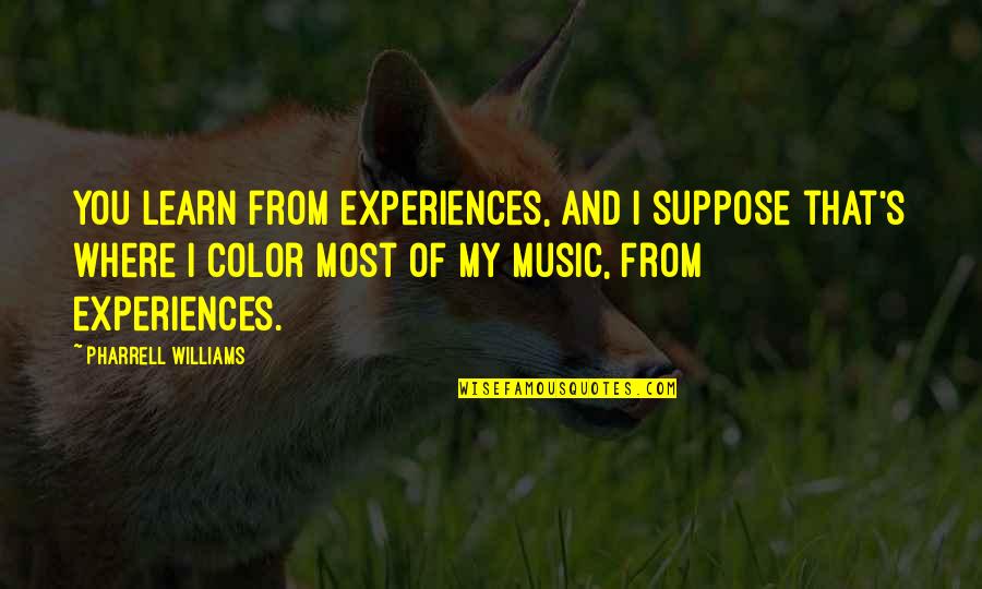 You Learn From Experience Quotes By Pharrell Williams: You learn from experiences, and I suppose that's