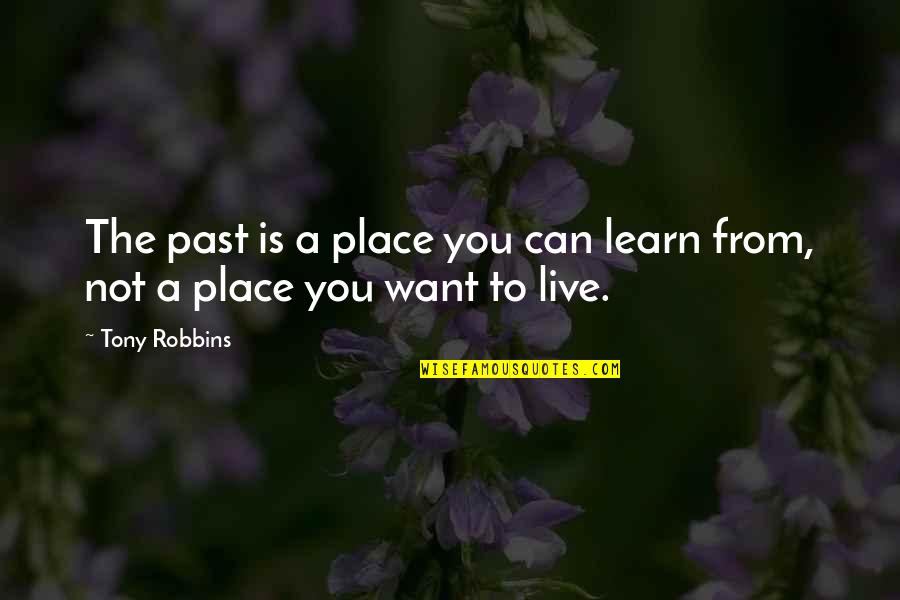 You Learn From The Past Quotes By Tony Robbins: The past is a place you can learn