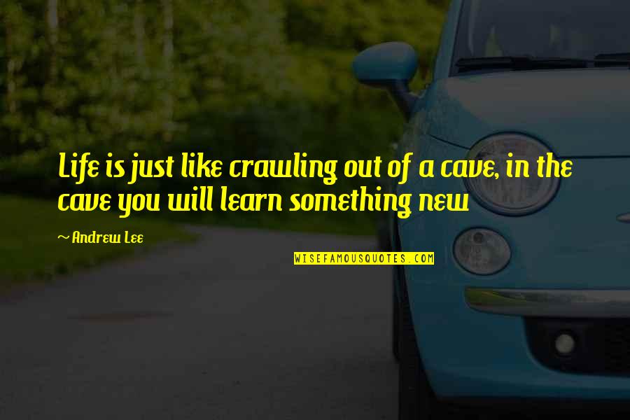 You Learn Something New Quotes By Andrew Lee: Life is just like crawling out of a