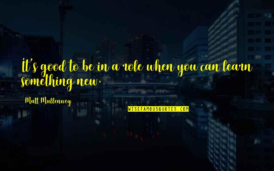 You Learn Something New Quotes By Matt Mullenweg: It's good to be in a role when You Learn Something New Quotes By Matt Mullenweg: It's good to be in a role when