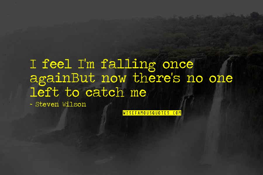 You Left Again Quotes By Steven Wilson: I feel I'm falling once againBut now there's