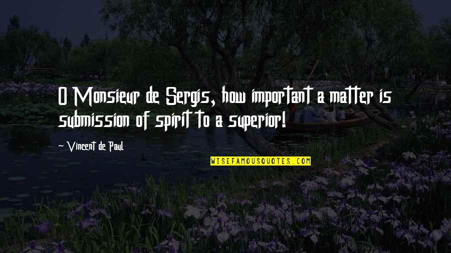 You Lied Again Quotes By Vincent De Paul: O Monsieur de Sergis, how important a matter