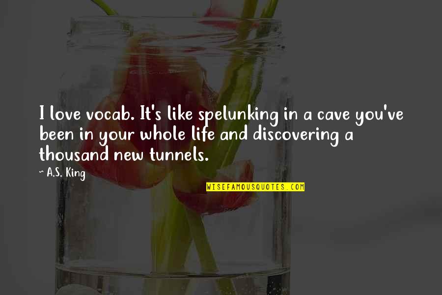 You Like It I Love It Quotes By A.S. King: I love vocab. It's like spelunking in a